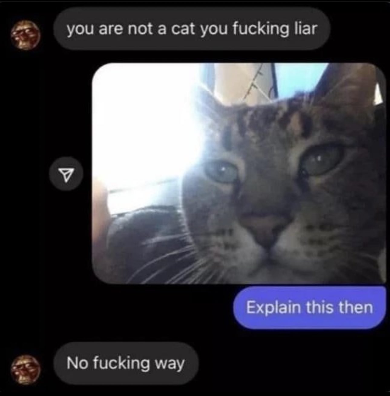 Fn_zWXBWQAAByuj?format=jpg&name=large