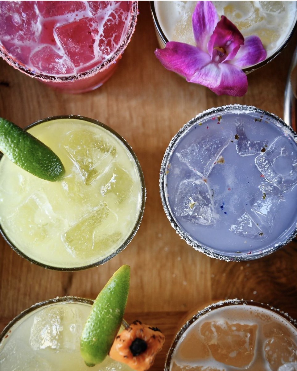 Avo Modern Mexican tweet media