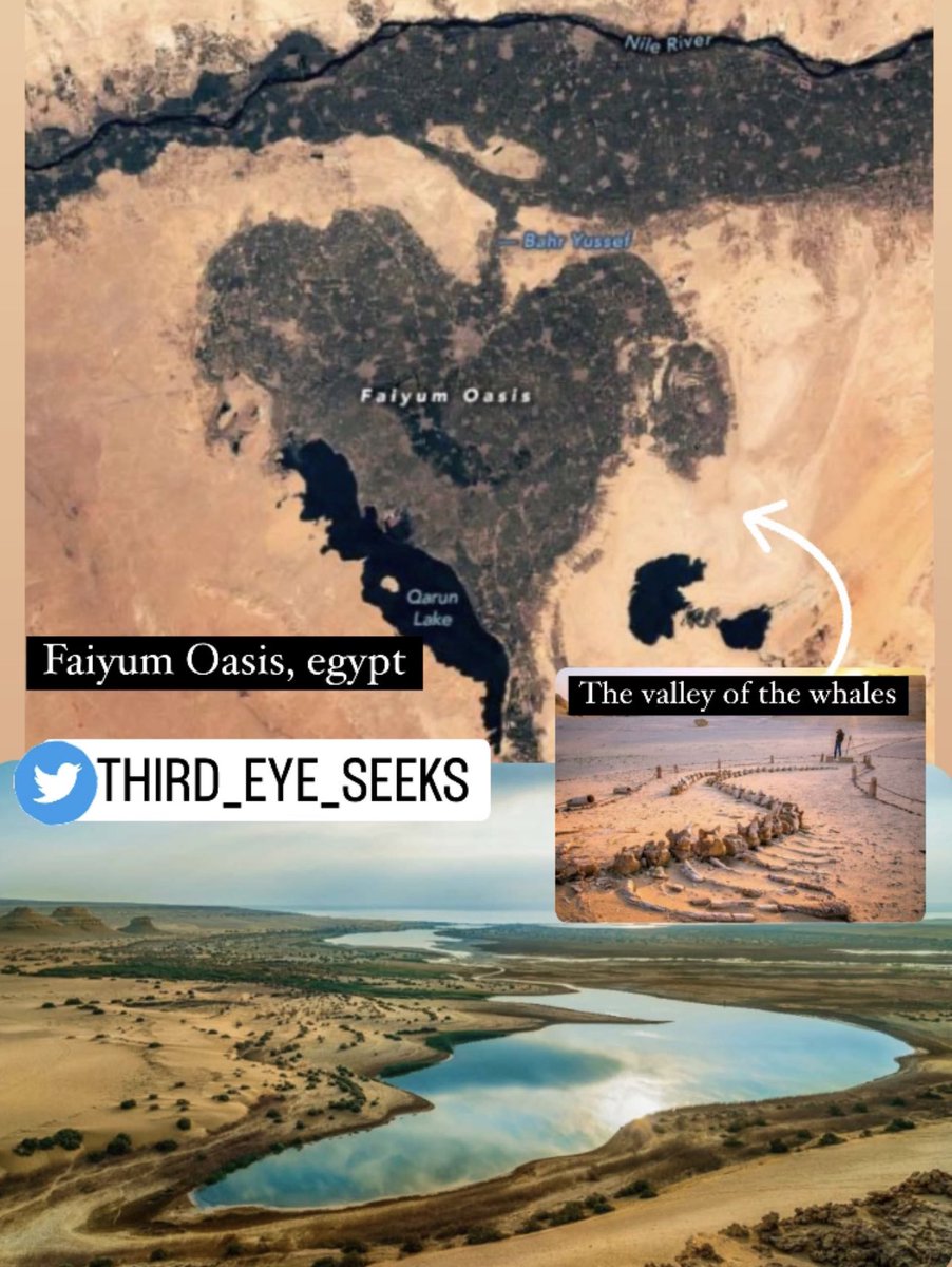 Third_Eye_Seeks's tweet image. 👀💭 The 1st written record of #FaiyumOasis comes around 3000 BC, during the reign of #Menes, the founder of #ancient #Egypt’s first dynasty. During this period more settlements arose along the #oasis banks as the #pharaohs of the Old Empire encouraged agriculture. #Archaeology