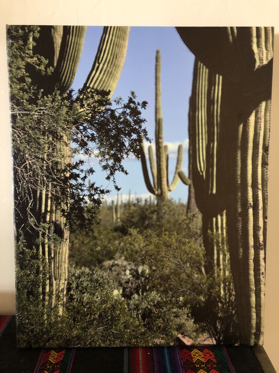 diane_ronning's tweet photo. Talented #photography friends website: https://t.co/HvaO3Pqk4d #PhotographyIsArt #photographylovers #desert and #desertlovers #NaturePhotography 👏👏👏 https://t.co/P5eQIlAVs9