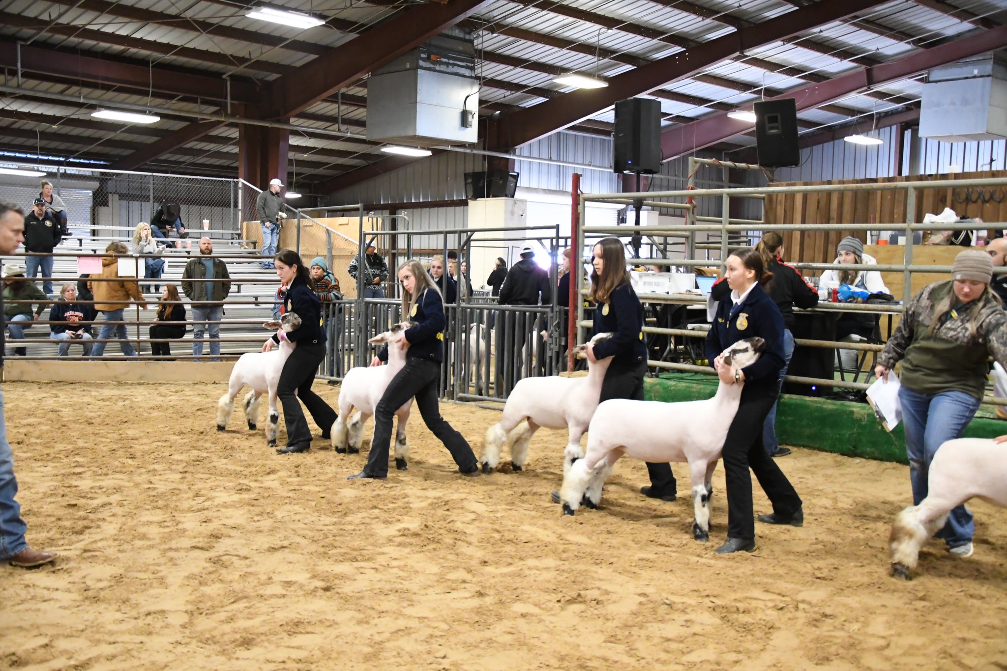 Tomball ISD on Twitter "Congratulations to our Turkey winners Grand