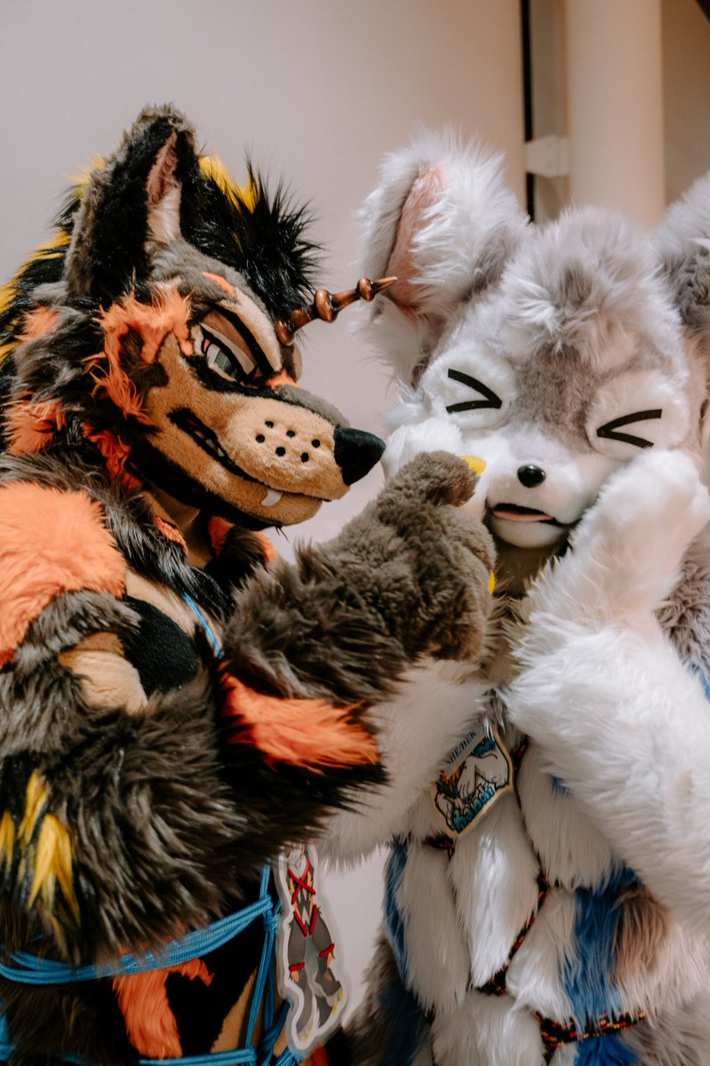 被帅气的狼狼挑逗了

🐺<a href="/InazumaBork/">Inazuma『イナズマ』✈️ UTFG</a> 
📸@pup_hurx_click