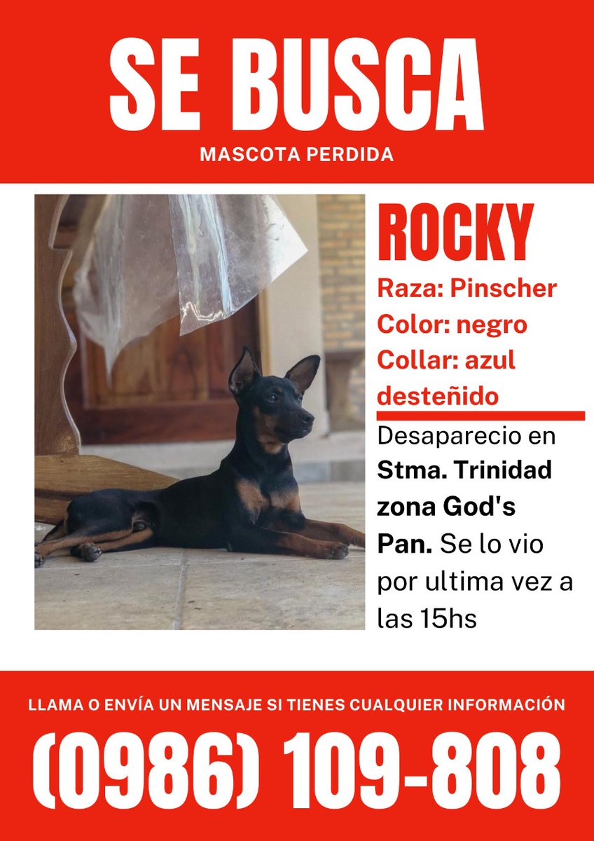 Pinscher perdido zona trinidad porfa rt que me va a dar algo si no le encuentro al patotero de la casa 😭😭😭😭😭😭😭