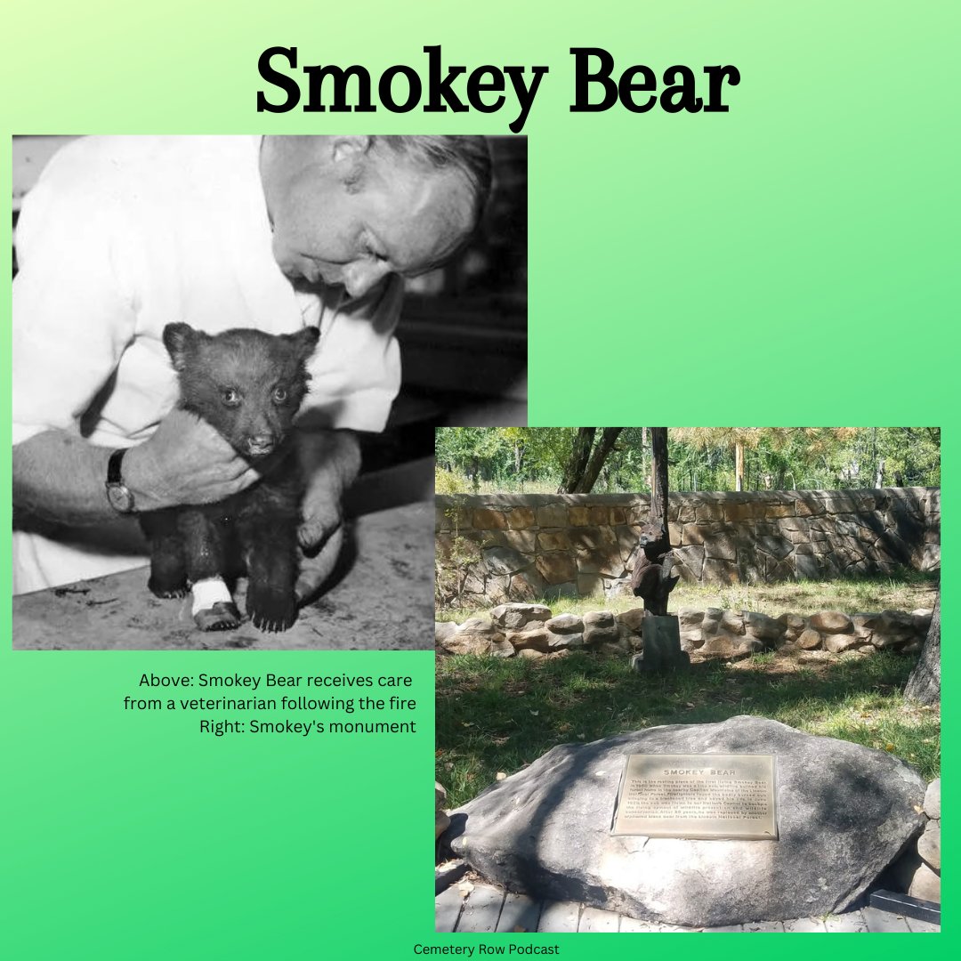 CemeteryRowPod's tweet photo. ... and Gef the Talking Mongoose and the real Smokey Bear.
#Animals #CemeteryRow #Podcast #GefTheTalkingMongoose #SmokeyBear https://t.co/HHD7TgwbTn