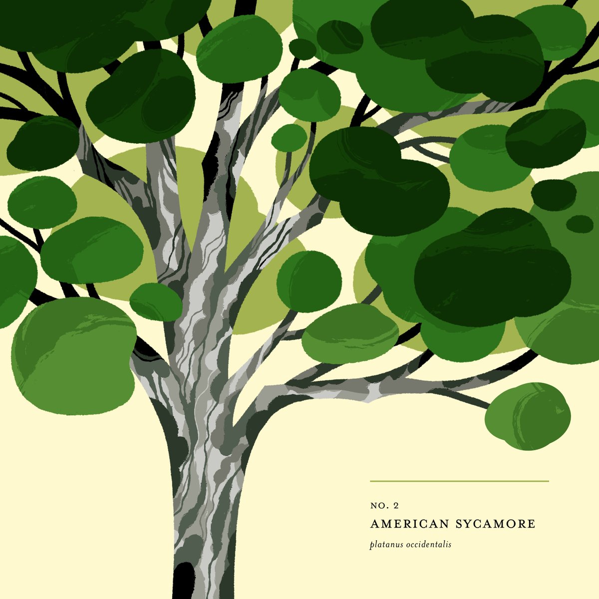 Emily Cheeseman tweet media