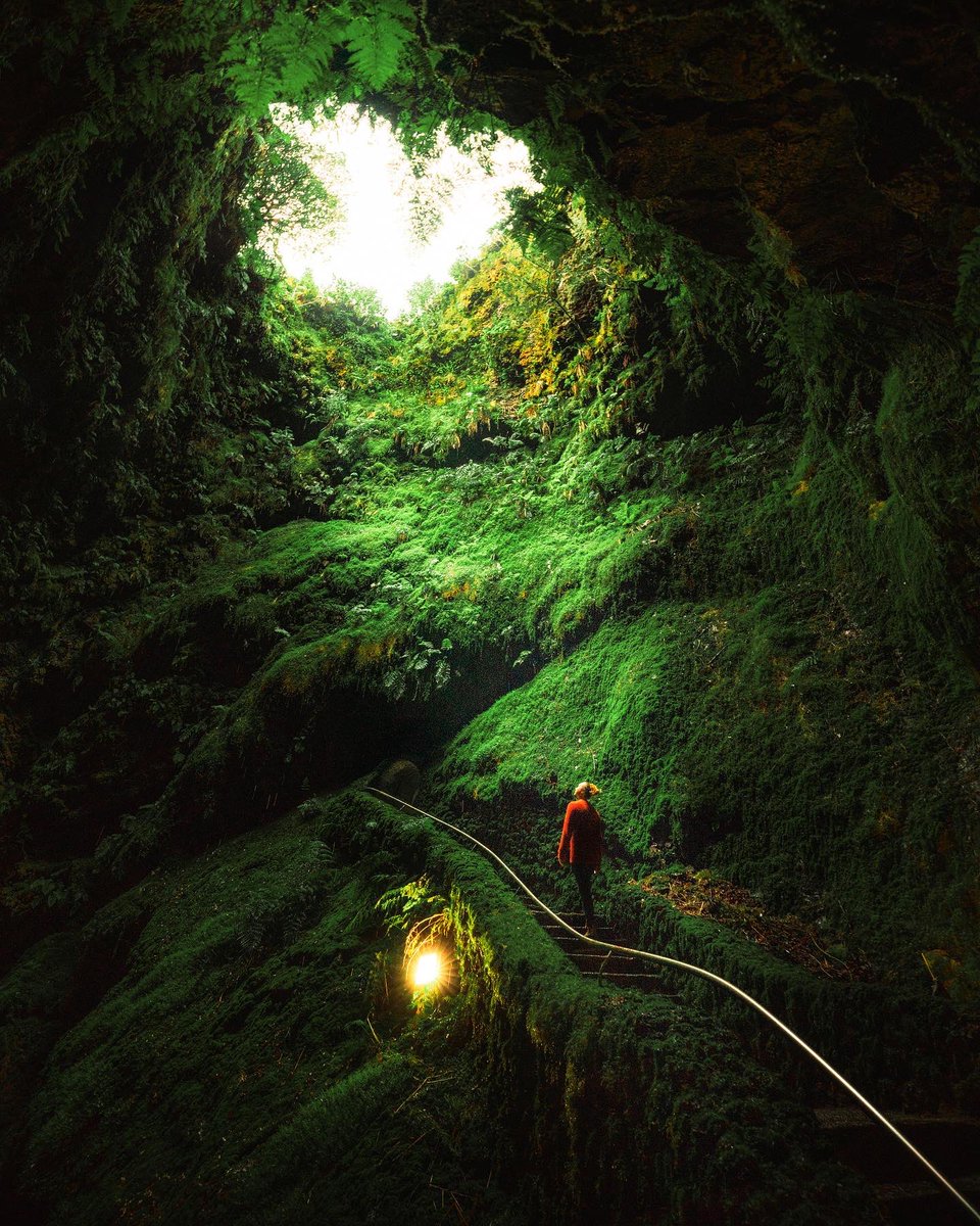 a photo we took in shrek’s bumhole