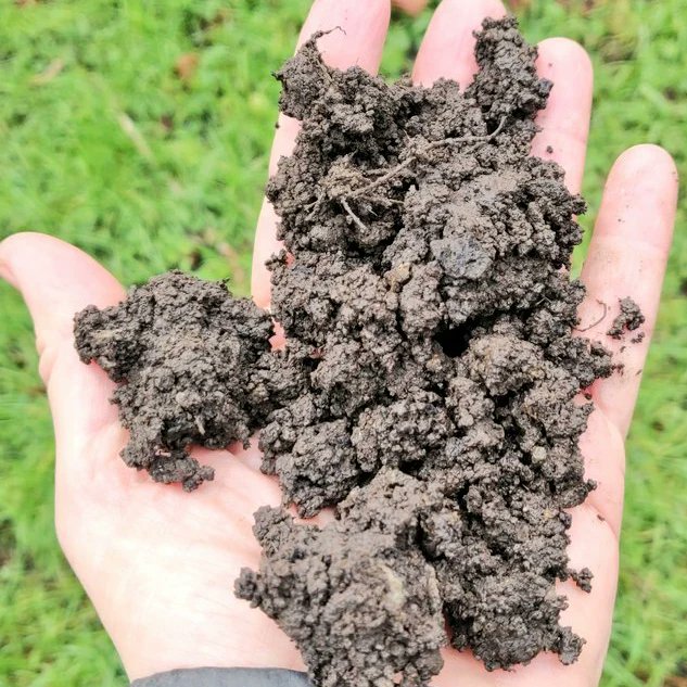 Voedselpark020's tweet photo. Rijk bodemleven #Lutkemeerpolder Gezonde bodem helpt bij het vasthouden en zuiveren van water, het opslaan van koolstof, het tegengaan van hittestress, natuurlijke plaagbestrijding en het recyclen van voedingsstoffen. Het fundament van een duurzaam Nederland.
#StopdeVerdozing https://t.co/3mR9RpPu6z