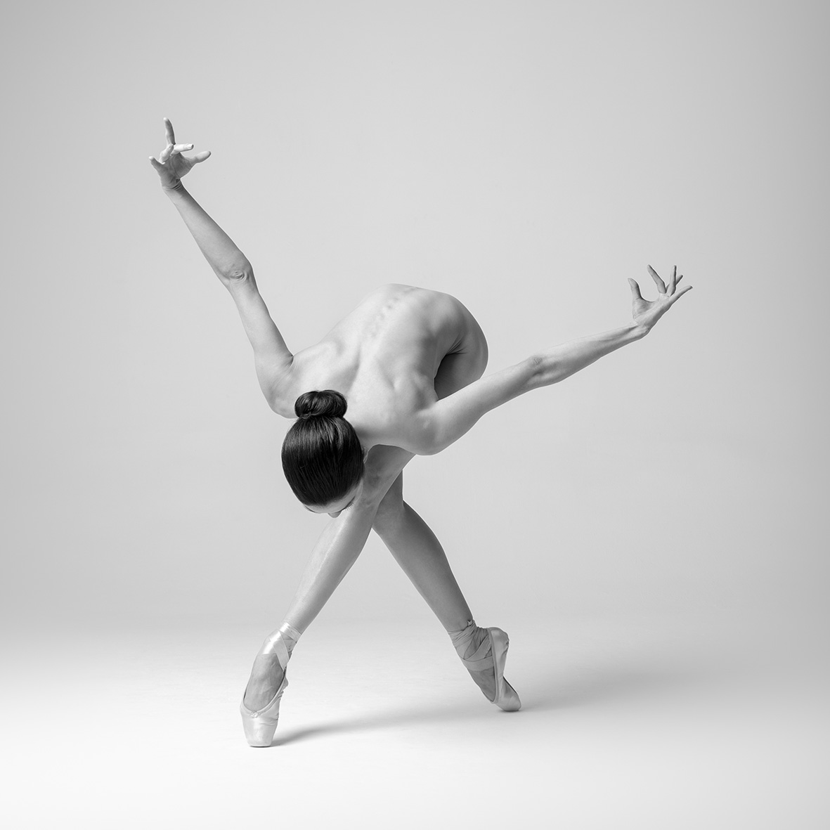 A_Branicki's tweet photo. good afternoon - bow to you :) https://t.co/N1rsBumTRM