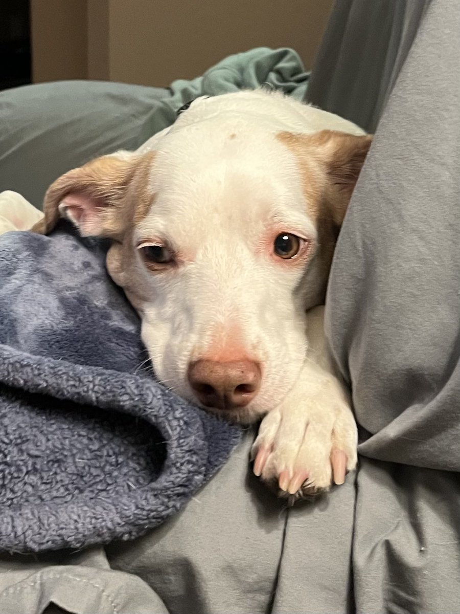 ButchandM's tweet photo. “Is it bedtime yet?” https://t.co/ue1BakGAgB