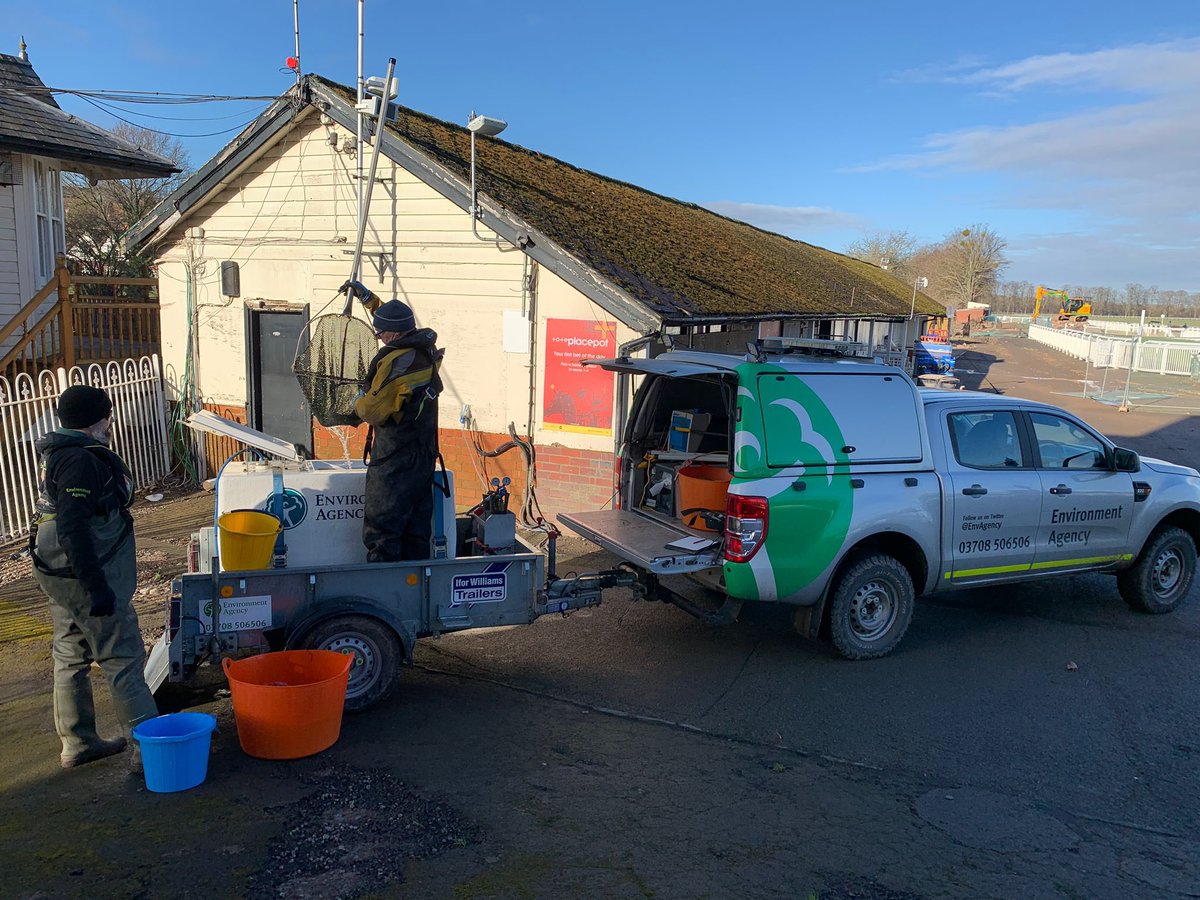 With the recession in river levels @EnvAgencyMids #FisheriesOfficers have been doing the rounds to check flood areas for stranded fish. Today in #Worcester on the racecourse they rescued 31 #pike, #carp, #perch plus many small #dace, #chub & #bleak returned safely to the river.