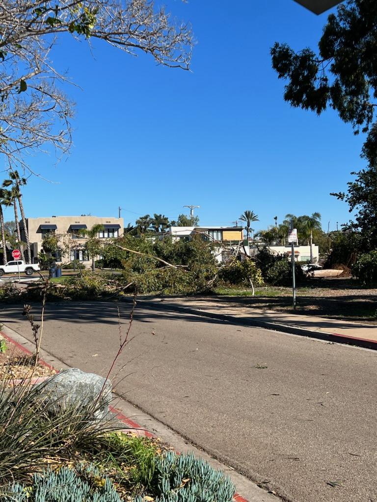 Strong winds have knocked down some trees in and around the Balboa Park area. City crews are removing branches blocking streets near the Cabrillo Bridge and Morley Field. If possible, avoid the area to allow crews to work safely and efficiently. Thank you for your patience!