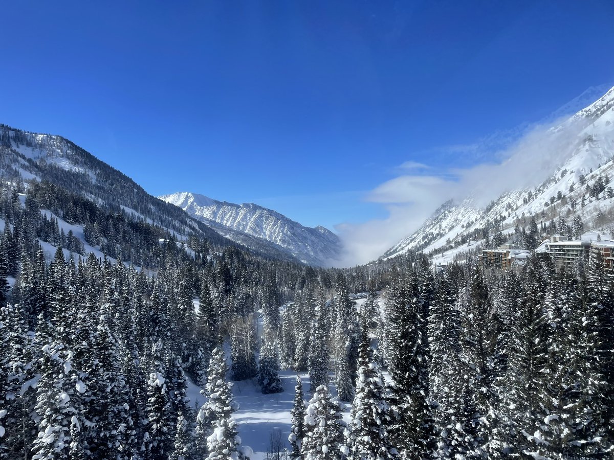 Alexa Zimbelman (@lex_zim) on Twitter photo First time at <a href="/winter_brain/">Winter Conference on Brain Research</a> and what a great place to hear amazing science, meet awesome scientists and present on my first panel! Exhausted in the best way possible 🤩 #WCBR2023 First time at <a href="/winter_brain/">Winter Conference on Brain Research</a> and what a great place to hear amazing science, meet awesome scientists and present on my first panel! Exhausted in the best way possible 🤩 #WCBR2023