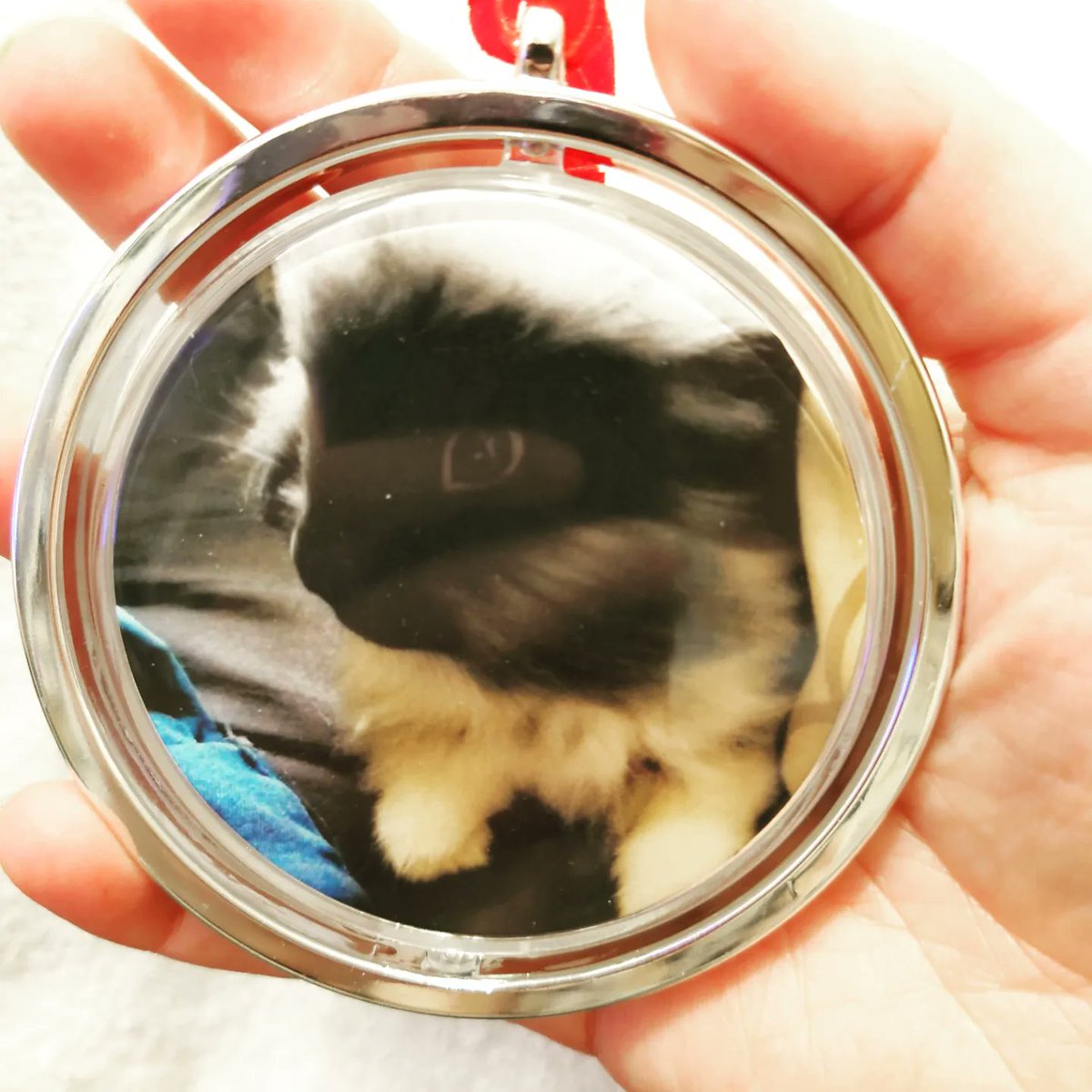 Throwbacks for the next few days! A decoration in memory of our bunny ❤️ #26january #rabbits #RABBIT2023 #decoration #gift