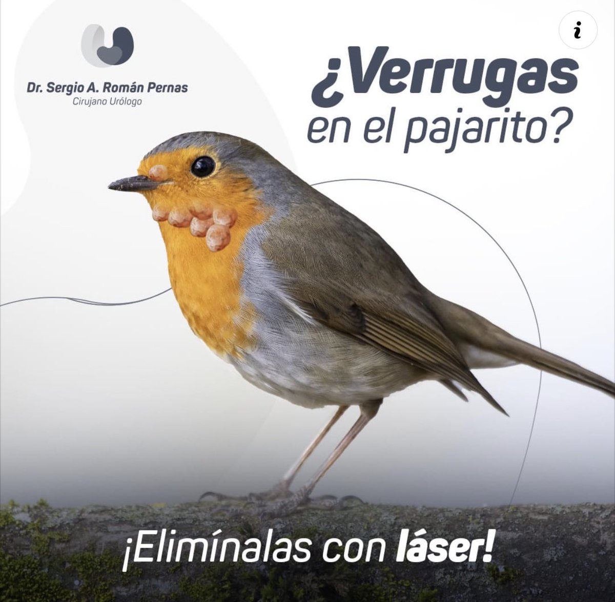 Ahí te hablan <a href="/babocartel/">Babo Cartel de Santa</a> 
Solo por si acaso alguna no es perla.