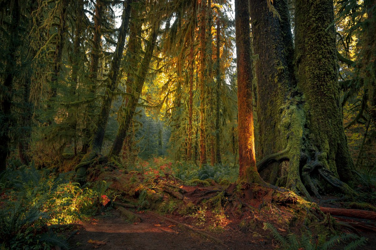 there’s magic here