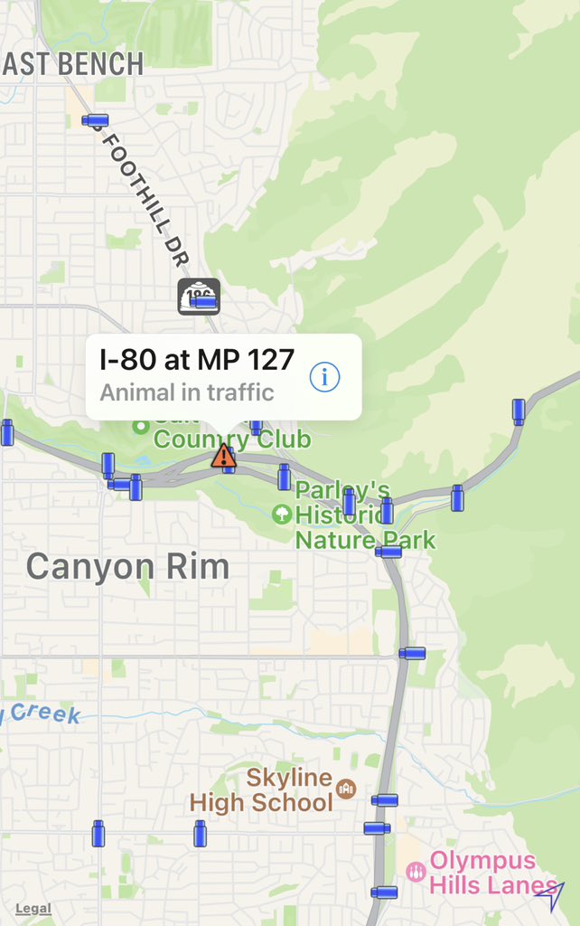 SLCScanner tweet media