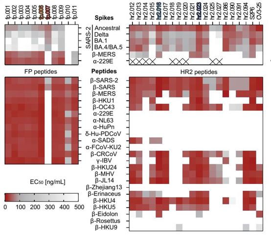 Science Immunology (@sciimmunology) on Twitter photo A new study identified “coldspot” regions conserved across different #SARSCoV2 variants and isolated antibodies able to bind to these regions and protect mice against infection. <a href="/BarnesLab1/">The Barnes Lab</a> <a href="/Stanford/">Stanford University</a> <a href="/USI_en/">USI University</a>
📄: scim.ag/1iW A new study identified “coldspot” regions conserved across different #SARSCoV2 variants and isolated antibodies able to bind to these regions and protect mice against infection. <a href="/BarnesLab1/">The Barnes Lab</a> <a href="/Stanford/">Stanford University</a> <a href="/USI_en/">USI University</a>
📄: scim.ag/1iW