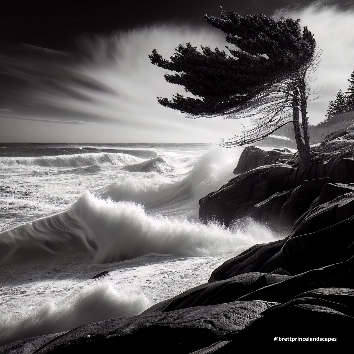ourexplorers's tweet photo. Nova Scotia, Canada, 2023 - No. 24

Follow along 👉 @bp_landscapes

#landscape #landscapephotography #landscapeartist #art #artist #artwork #novascotia #canada https://t.co/qJ0szH299j