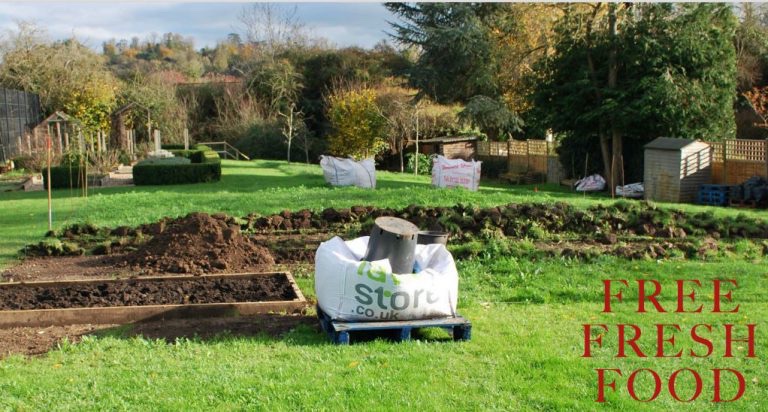Can you spare a few hours to support the new #community garden project in #Salisbury part funded through the #SalisburyAreaBoard? 🍃

⬇️⬇️⬇️
tinyurl.com/2obn74qn 

#OurCommunityMatters