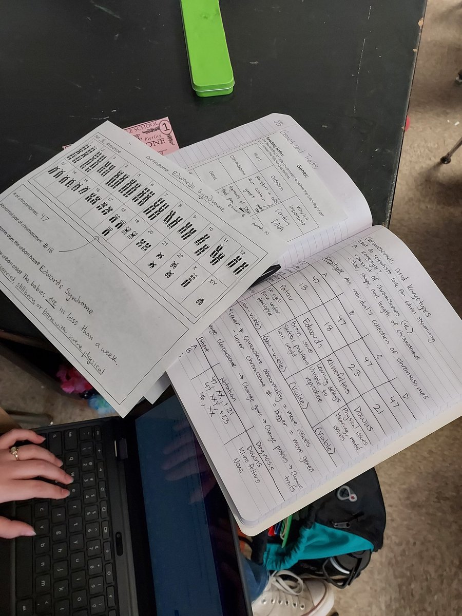AliceBucknerSci's tweet photo. How can chromosomes affect traits? Ss @ArbutusMS created karyotypes to determine what might occur. @BCPSSci https://t.co/pBwZFWltOE
