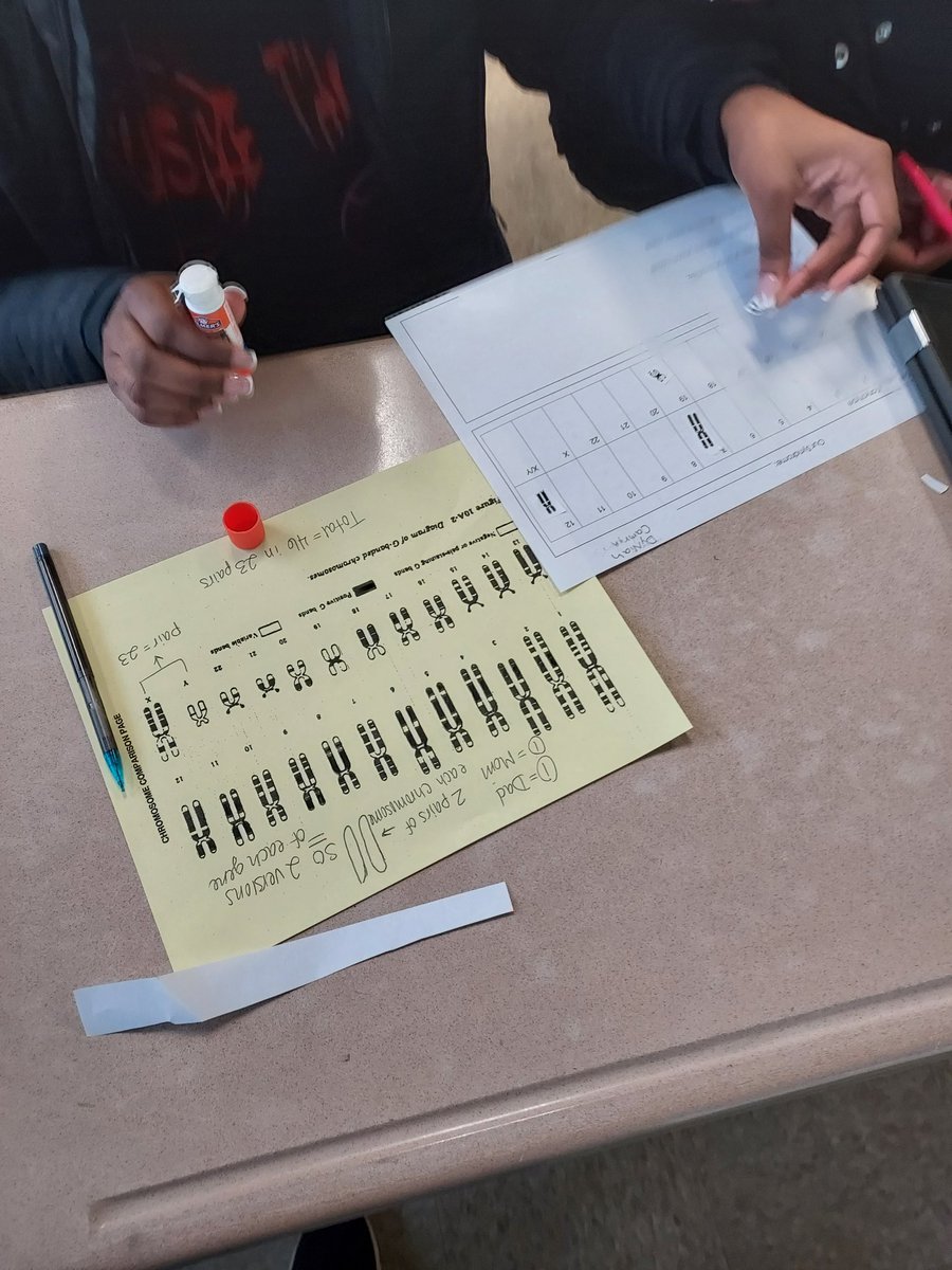 AliceBucknerSci's tweet photo. How can chromosomes affect traits? Ss @ArbutusMS created karyotypes to determine what might occur. @BCPSSci https://t.co/pBwZFWltOE