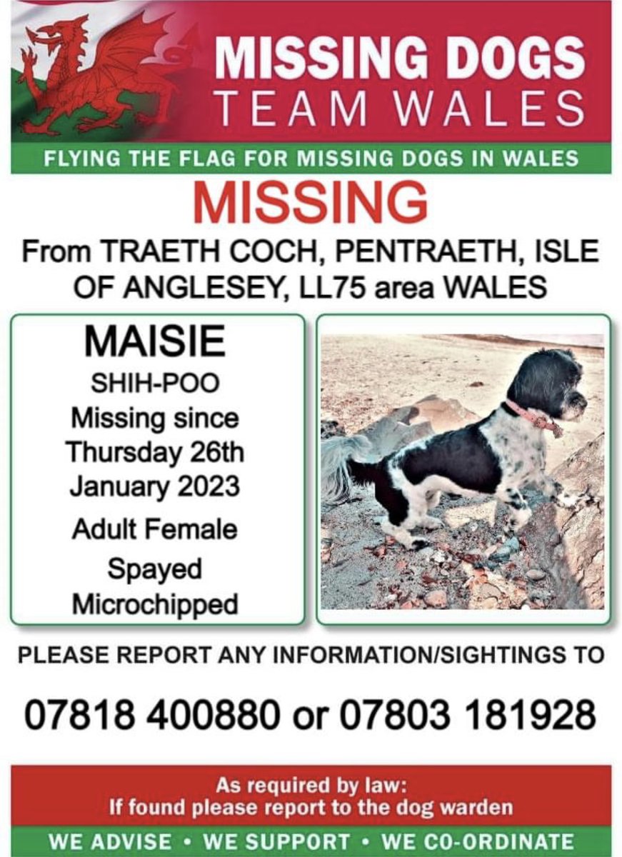 ❗️MAISIE, MISSING From #TRAETHCOCH, #PENTRAETH, #ISLEOFANGLESEY, #LL75 area #WALES ❗️
❗️SINCE THURSDAY 26th JANUARY 2023.
❗️PLEASE LOOK OUT FOR MAISIE AND CALL NUMBER WITH ANY SIGHTINGS/INFORMATION ❗️