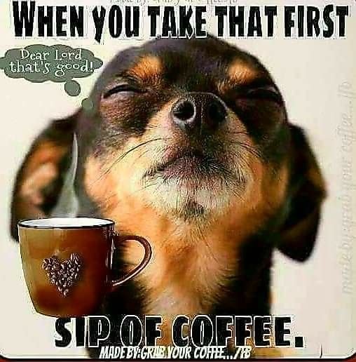 Tattedscorpio86's tweet image. Good morning #SpookySquad!