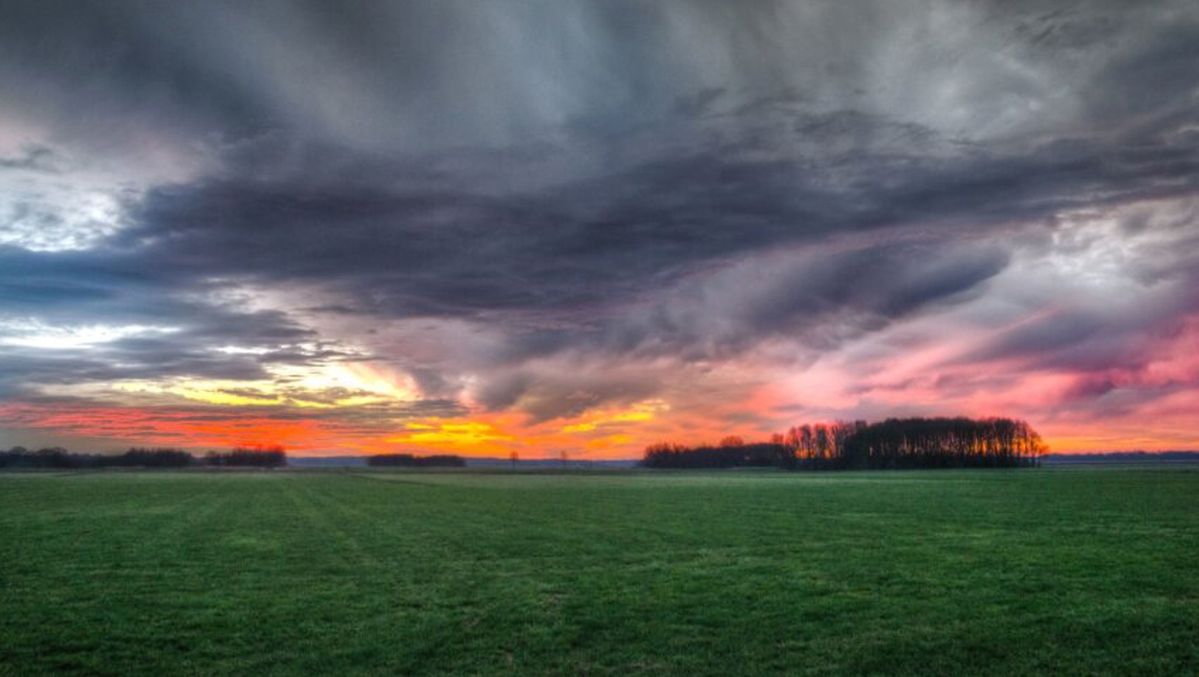 Matthieu BOURRET tweet media