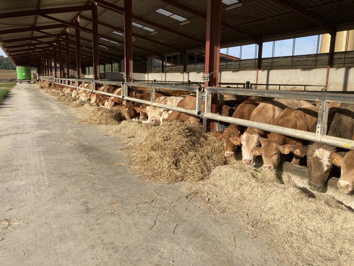 Quentin B 🐮🌻🌾🌽🚜 tweet media