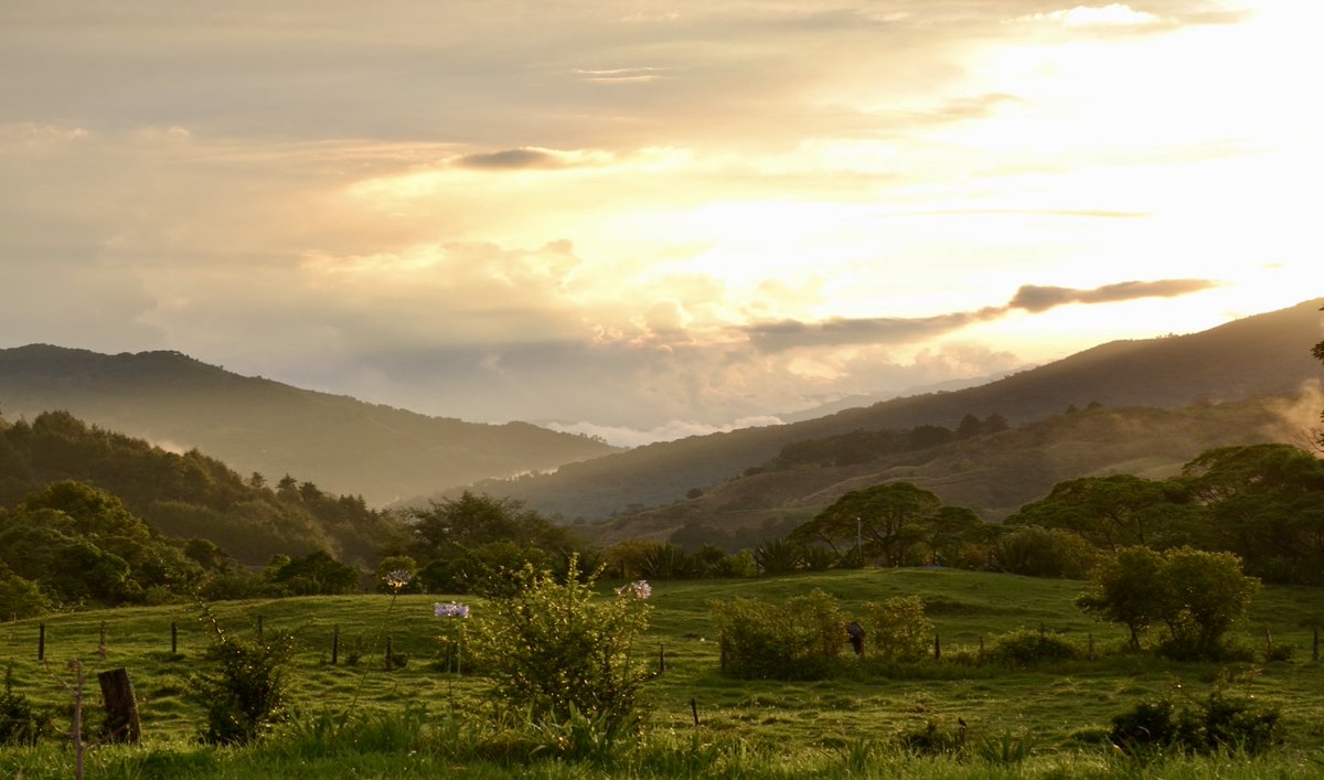 CIAD_UFIDE's tweet photo. ¡Desde la @CIAD_UFIDE les deseamos un feliz Día de la Educación Ambiental! 26/01/2023

Fotografía: Copey de Dota, Costa Rica https://t.co/TinbNNhmc7