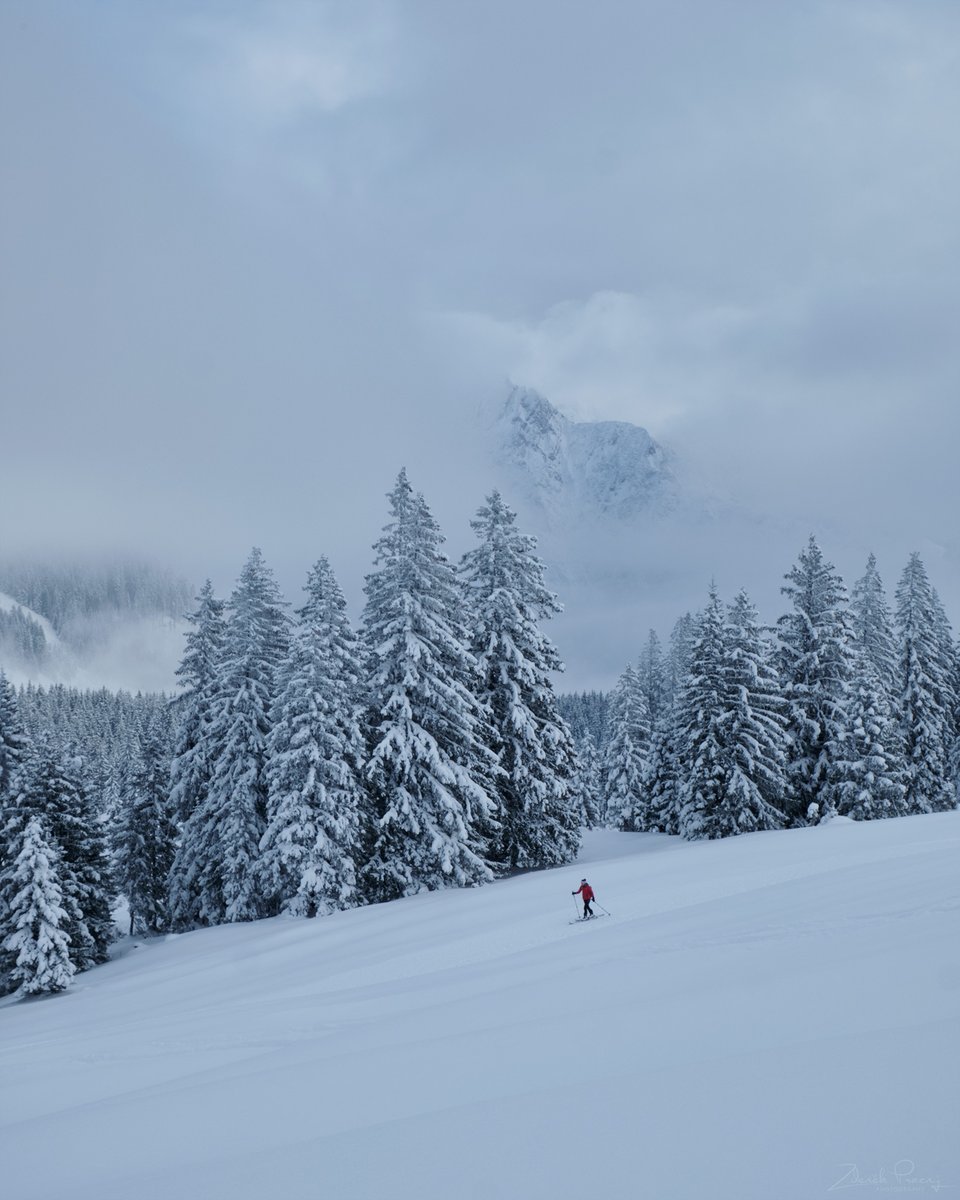 zdenek_pracny's tweet photo. Rakouský sněhový minimalismus.
#postalm #austria https://t.co/ZZwQkqeQOJ