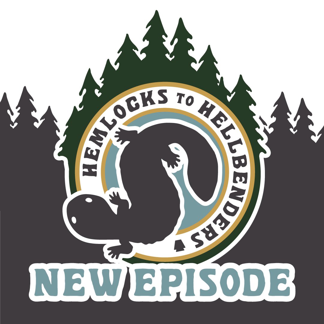 crawriter's tweet photo. On the newest episode of Hemlocks to Hellbenders, I interview Tim Morey with @DCNRnews about Leonard Harrison State Park - also known as the Pennsylvania Grand Canyon. 

Listen to it on any of your favorite podcasting platforms or by visiting 🔽
https://t.co/TaihcQdgbK https://t.co/LDcoapc6ds