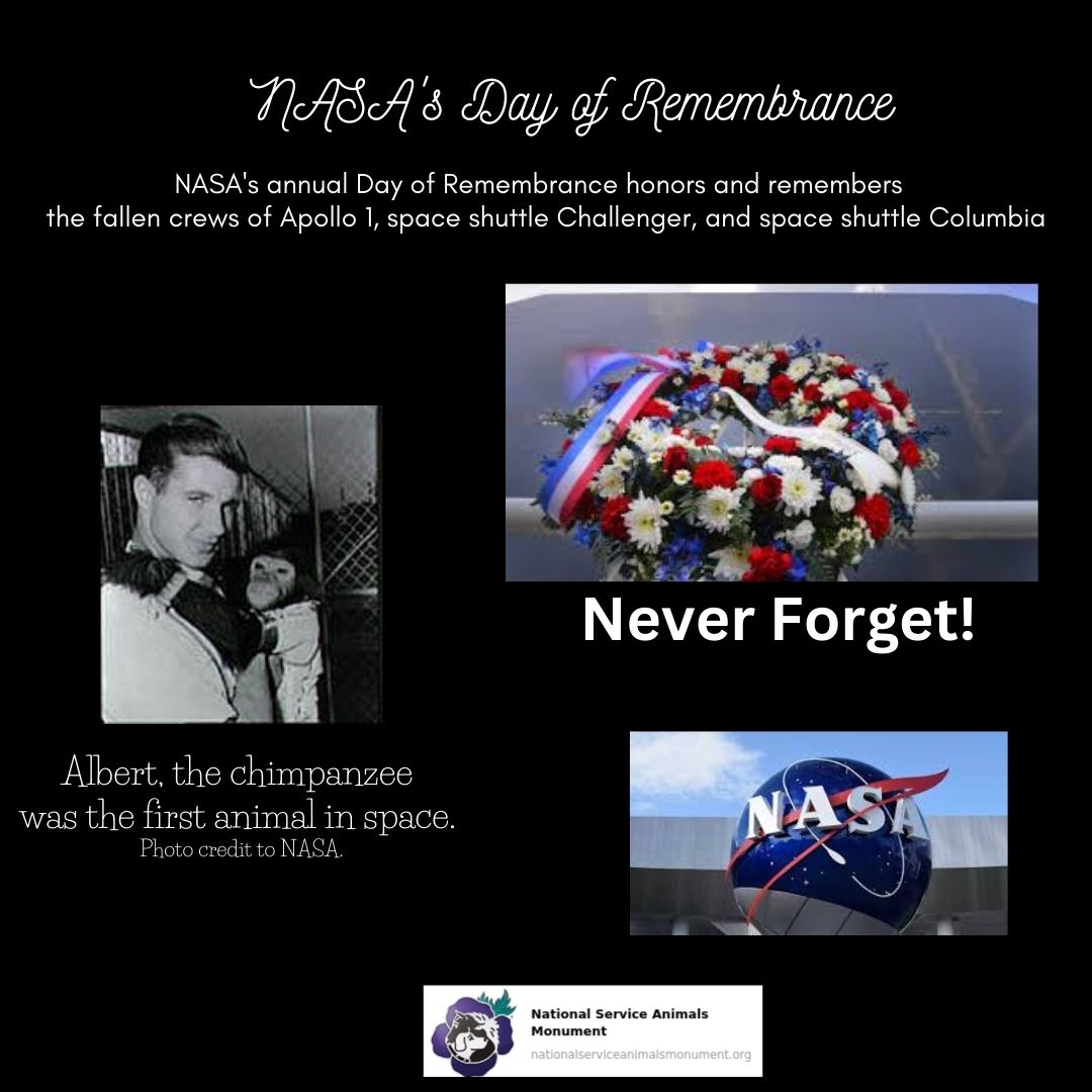 NsamProject's tweet image. Today is NASA’s Day of Remembrance to remember &amp;amp; honor the crews of Apollo 1, the space shuttle Challenger &amp;amp; Columbia. Let’s remember &amp;amp; honor the chimpanzees, dogs, &amp;amp; other animals sacrificed for the space program before humans entered space.  Thank you to all (past &amp;amp; present)