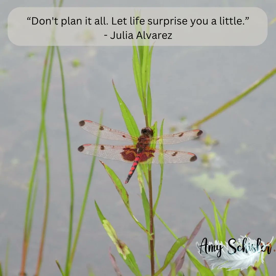 I hear people say they don’t like surprises, but I love them. Except when they thwart my plans! One of my favorite sayings is, “We plan, God laughs.” Make your plans, but be open to the surprises that life brings you.#Godsplan #Catholicwoman #joyinthejourney #besurprised