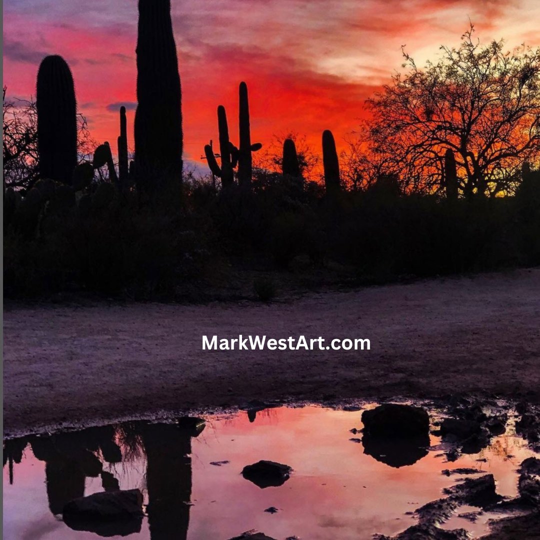 Boomgoddess's tweet photo. "If you’re willing to do something that might not work, you're closer to becoming an artist."
— Seth Godin
https://t.co/8BFYJGjhWt
Image @mark_west_art
#arizonaisgorgeous #sunset #sunrise #sunrise_sunset #sunsetphotography #bestofthegrandcanyonstate #nature #landscapes #desert #d https://t.co/45zhqC6wgg