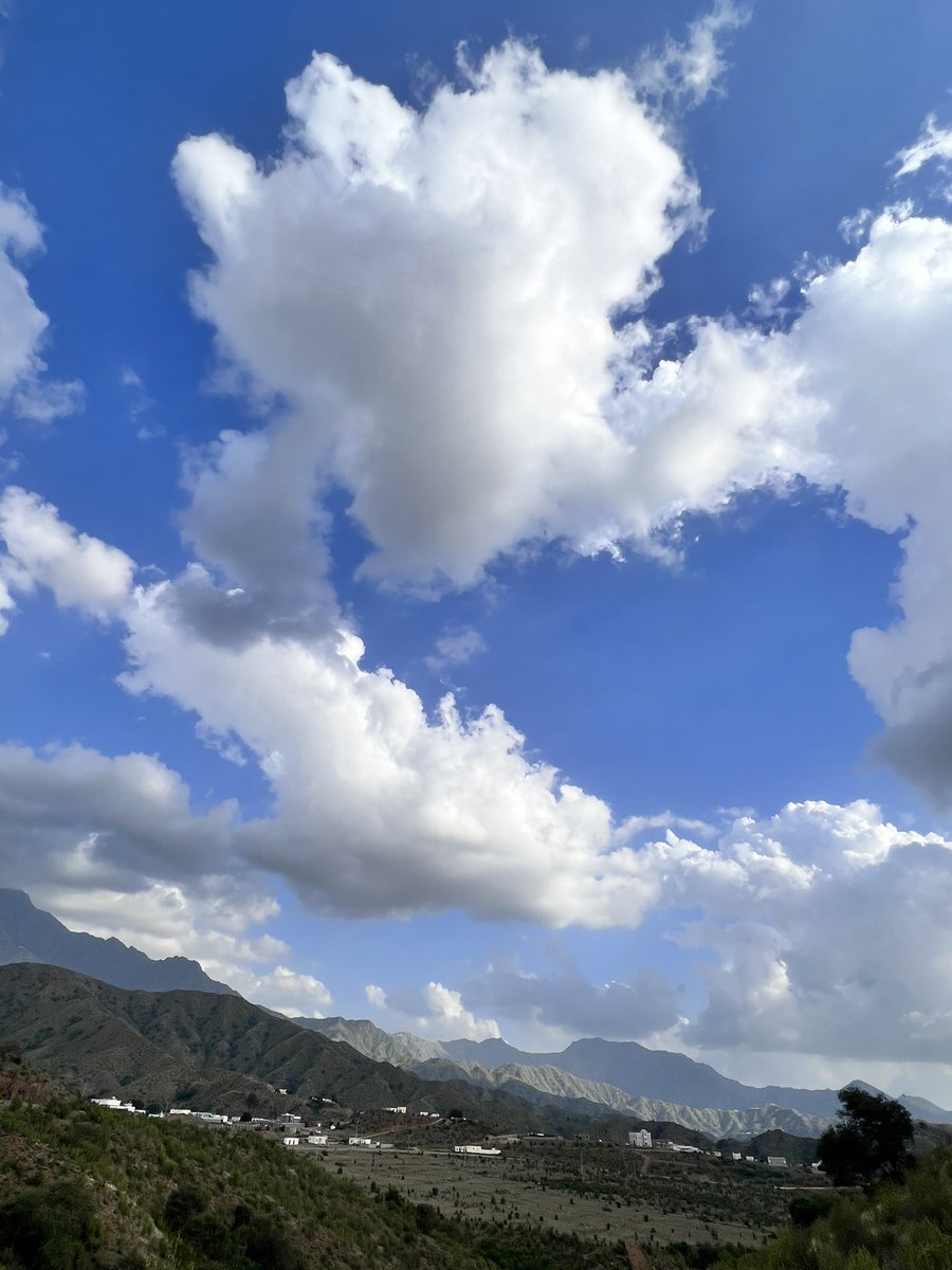 إرَم. tweet media