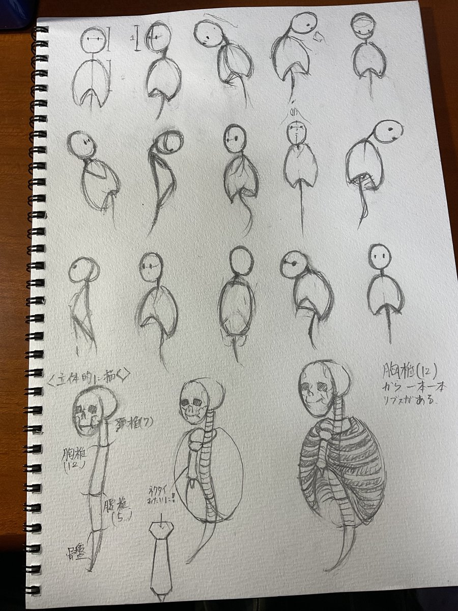 今日の練習(遅刻) 忙しくてあまり描けなかったけど胴体の仕組みを少しは知れたかんじ!!