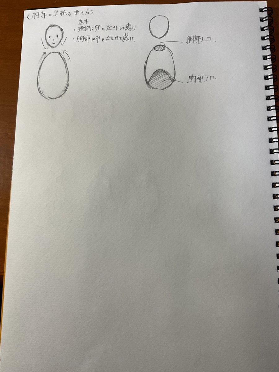 今日の練習(遅刻) 忙しくてあまり描けなかったけど胴体の仕組みを少しは知れたかんじ!!