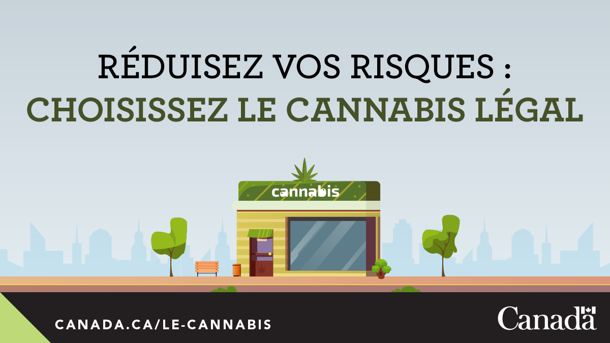 GouvCanSante's tweet photo. Le #cannabis vendu par des détaillants agréés doit être soumis à l’analyse pour s'assurer qu'il ne contient pas de niveaux nocifs de contaminants. Pour trouver des détaillants légaux dans votre province ou territoire, visitez https://t.co/5dy7b5mBaq https://t.co/h86c7haOVO