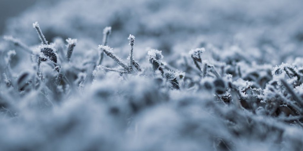Join Us TODAY at 11:00 AM for Ski and Tea!  $5 per person.  New snow is gorgeous!  Please call 920-391-3686 to let us know you are coming!