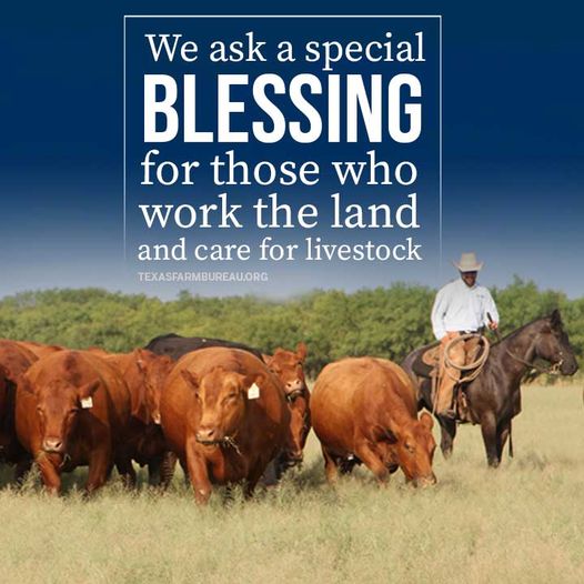 Sun up to sun down. And sometimes late into the night. Farming and ranching isn't a glamorous life. There's a lot of stress, worry and hard work. But it's a calling, a way of life and a rewarding career. We ask a special blessing for all those who work in agriculture.