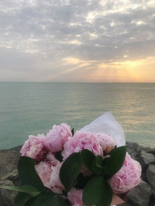 ولعلَّ الذي ابطأ عنِّي هو خيرٌ لي.