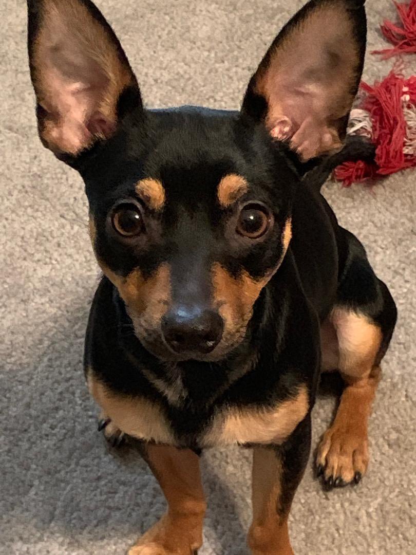 Keith Olbermann tweet media