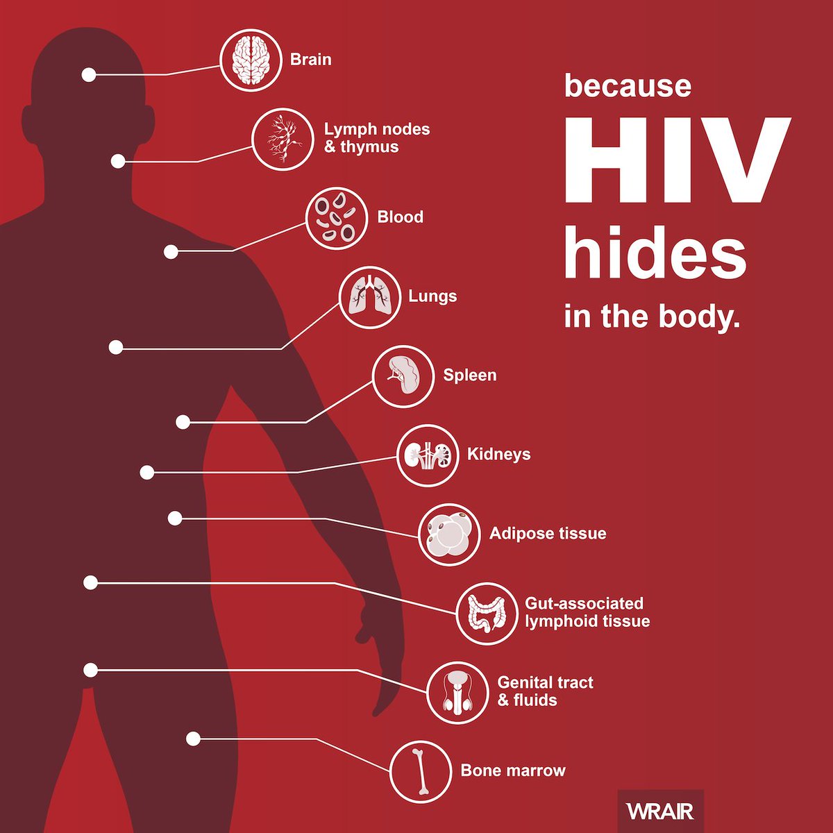 MilitaryHealth's tweet photo. The Defense HIV/AIDS Prevention Program (DHAPP) has partnered with over 80 nations since its inception. #DHAPP assists partner militaries in the development and implementation HIV prevention programs through trainings and various activities. #DODGHE https://t.co/dN4It4wP1Q