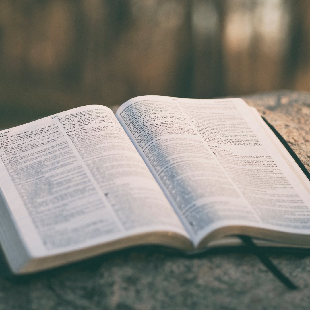 ActionOverseas's tweet photo. Praise God! One of our friends in Nepal has been chosen to be part of an extended team of Bible translators. At present the Bible in his dialect is only available as a New Testament so he is going to be involved in bringing the OT scriptures to life. https://t.co/aKgN3xUA2u