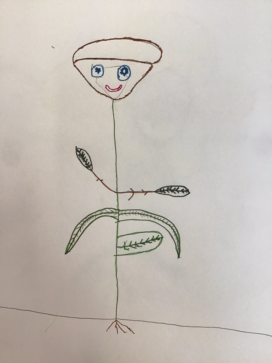 <a target='_blank' href='http://search.twitter.com/search?q=NatureSelfPortrait'><a target='_blank' href='https://twitter.com/hashtag/NatureSelfPortrait?src=hash'>#NatureSelfPortrait</a></a>
Ss in 2nd grade we’re inspired by Dali’s botanical paintings & illustrations.  They created a self portrait using objects from nature in their drawings. 🤗🎨🙌❤️ <a target='_blank' href='http://twitter.com/APSCardinalElem'>@APSCardinalElem</a> 🥸 <a target='_blank' href='http://twitter.com/SimmermanArt'>@SimmermanArt</a> <a target='_blank' href='https://t.co/L1AVrUKgjg'>https://t.co/L1AVrUKgjg</a>