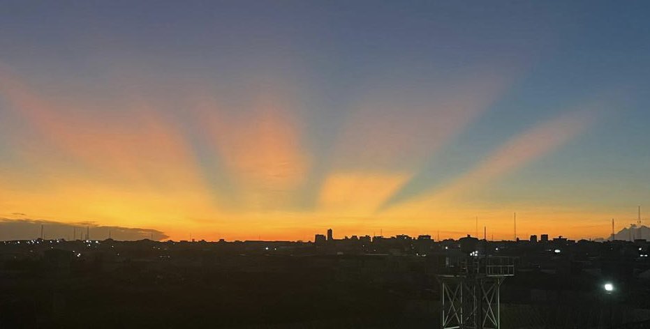 Kate Foster tweet media