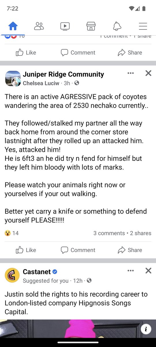 E21Vince's tweet photo. PSA - aggressive pack of coyotes in juniper attacking a 6'3 adult male. Be careful out there https://t.co/HACkQPZ85G