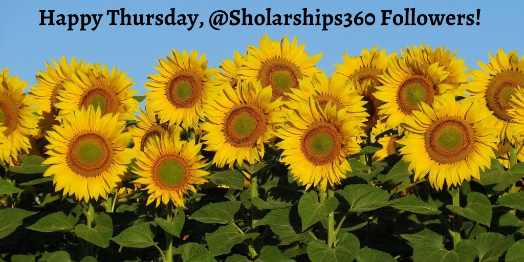 scholarships360's tweet photo. Start Thursday with our super EZ to apply for list of scholarships with something for all! 
https://t.co/YD0Fmz7H2R https://t.co/iflt0tXYmr