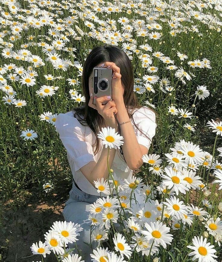 softdeIicacy's tweet photo. daisy field. https://t.co/4xhw36pxTv